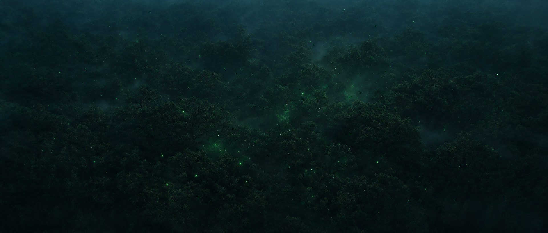 Dark oak canopy at dusk